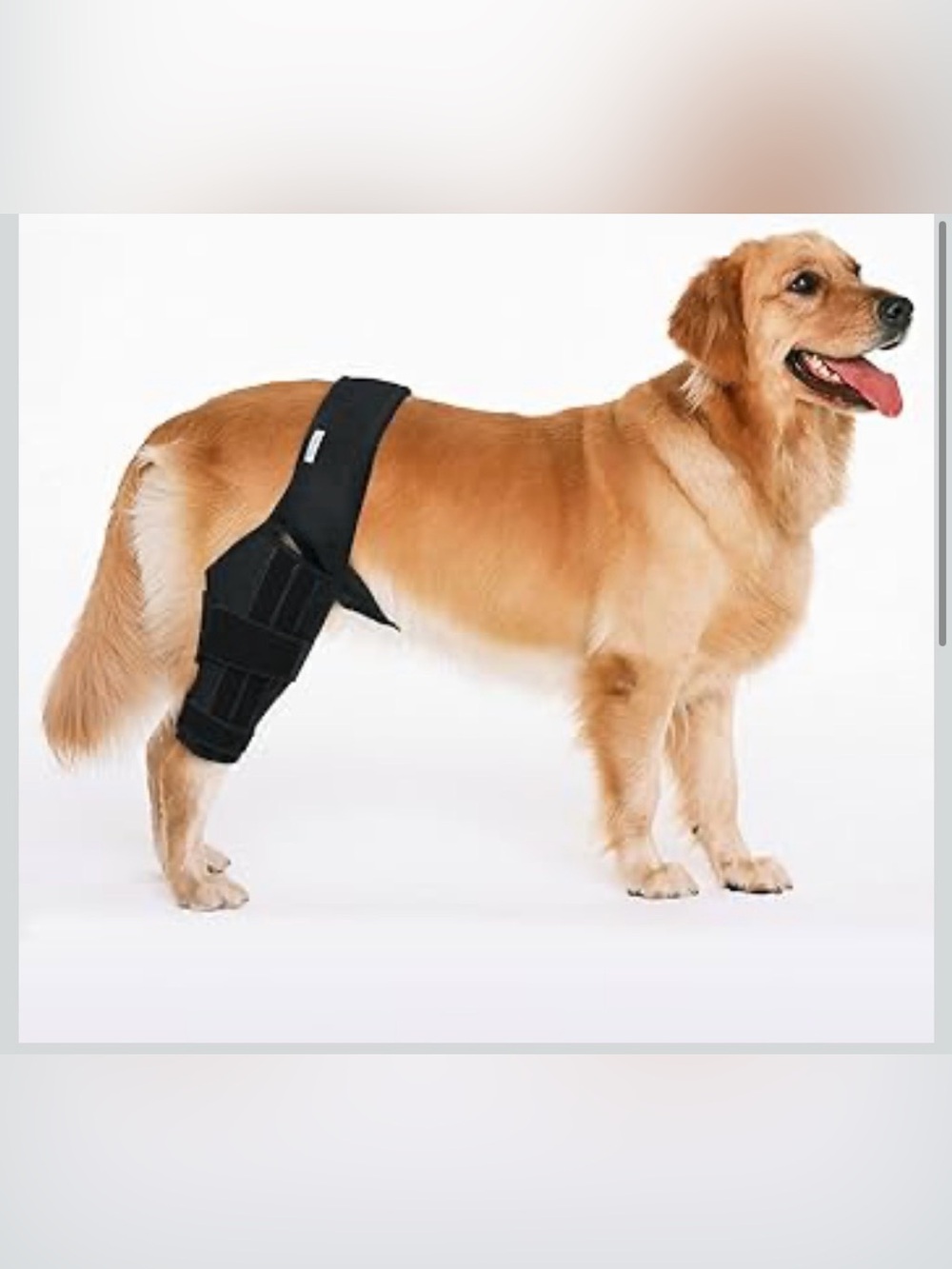 MerryMilo Dog Knee Brace - Canine Leg Support XXL 1074/bb6